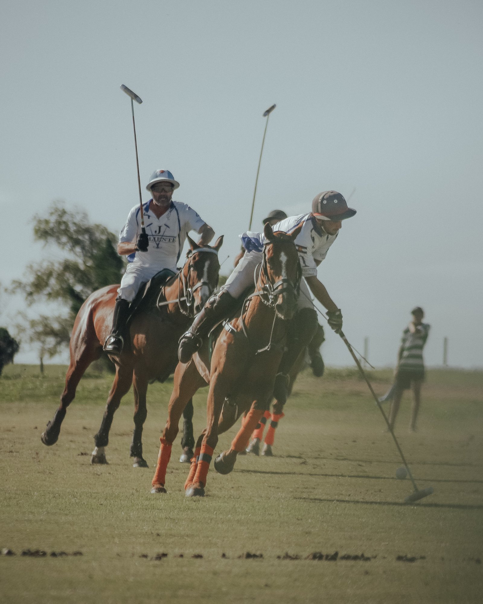 Courses & Polo